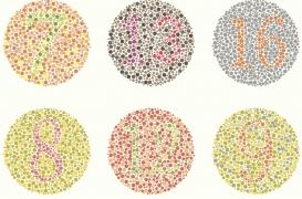 Les daltoniens ne verront jamais les couleurs comme tout le monde