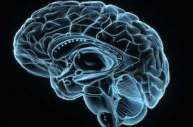 Alzheimer : l'origine de la maladie recréée en laboratoire