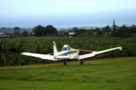 Pesticides : la hausse des taux inquiète les associations 