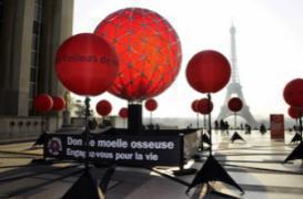 Don de moelle osseuse : 2 000 malades en ont besoin 