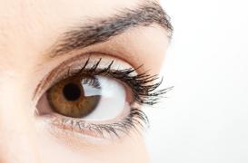 DMLA : une campagne pour dépister les premiers signes