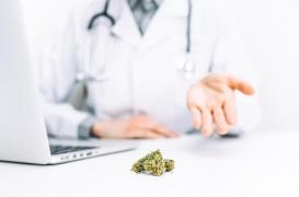 L’expérimentation du cannabis thérapeutique sera proposée au budget de la Sécurité sociale 