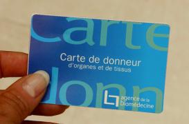 Dons du vivant : 20 % des greffes de rein en 2016
