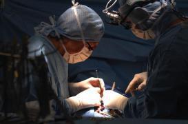 Journée du don d'organes : les jeunes invités à se prononcer sur leur choix