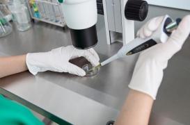 PMA : un homme de 69 ans peut utiliser son sperme congelé