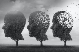 Démence : comment elle se propage dans les réseaux cérébraux 