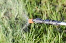 Le glyphosate induit des modifications génétiques du sperme