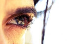 Une cornée humaine régénérée à partir de cellules souches