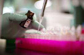 Entre amis, on partage tout... même les gènes