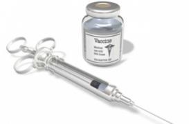 Coqueluche : des ruptures de stock de vaccins à prévoir 