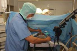 Anesthésie : la sédation préalable remise en question