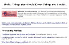 Ebola.com : le nom de domaine à vendre pour 150 000$