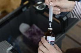 Euthanasie : le Belgique s'apprête à l'étendre aux mineurs 