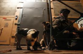 Sans-abri : 70% des demandes d'hébergement insatisfaites