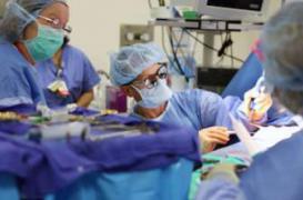 Cancer : la Ligue enquête sur l'impact financier d'une mastectomie