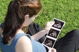 FIV :  près de 20 % de réussite  à la sixième tentative