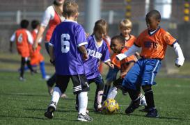 8 enfants sur dix souffrant d'allergies respiratoires font du sport