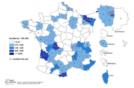 Rougeole : plus de la moitié des départements sont concernés, surtout dans le sud