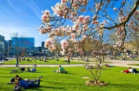Les espaces verts font le bien-être des citadins