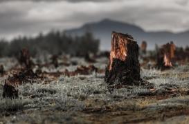 Réduction des énergies fossiles : de possibles effets négatifs sur la santé