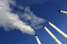 Plus exposés, moins fertiles