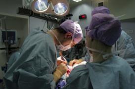 Greffe du cuir chevelu : le récit de la navigatrice scalpée