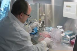 Grippe H7N9 : l'Institut Pasteur prêt à faire face