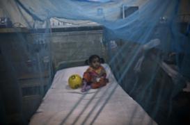 Vaccin contre la dengue : Sanofi prévoit une commercialisation en 2015