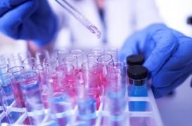 Covid-19 : l'ivermectine, un anti-paludique efficace contre le virus ? 