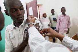 Fièvre jaune : les pays menacés par l'épidémie