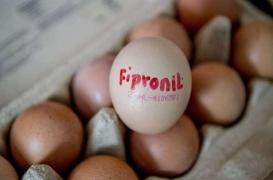 Fipronil : des muffins et des brownies sont retirés du marché
