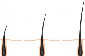 Les cancers de la peau pourraient provenir des follicules pileux