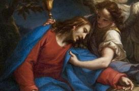 Grippe, rhume : oui, les hommes prennent plus cher