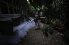 Cinq cas importés : comment la France se prépare à la menace Zika