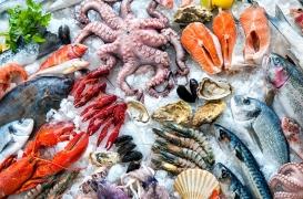 Fruits de mer : attention à la bactérie 