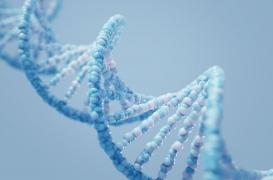 Une variation génétique pourrait expliquer le développement du coronavirus