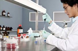 Vieillissement précoce : des chercheurs réparent des cellules malades