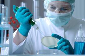 Gènes : une mutation rare protège de l’infarctus