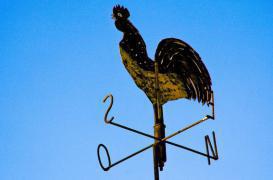 Arthrose : une application mobile pour comprendre l'impact de la météo