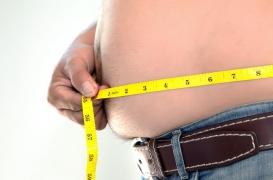 Cette protéine peut jouer un rôle important dans l’obésité