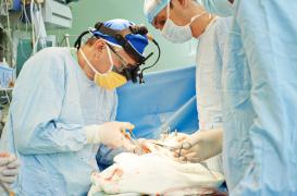 Journée mondiale : qui sont les donneurs d'organes 