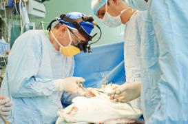 Mucoviscidose : l'innovation qui augmente le nombre de greffons