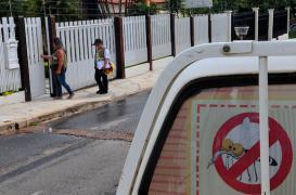 Zika : le lien avec le syndrome de Guillain-Barré confirmé 