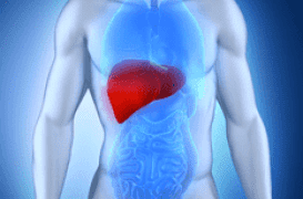 La crise de foie n’existe pas