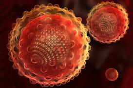 Hépatite C : les nouveaux traitements accessibles à tous