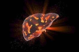 Qu'est-ce qu'a changé la découverte du virus de l'hépatite C ?