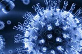 Les scénarios de la mutation du virus