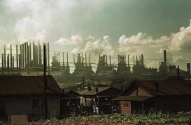 Changement climatique : 500 000 morts de plus d’ici 2050