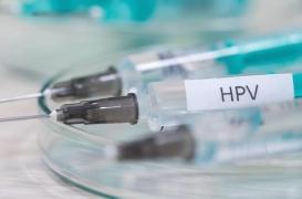 HPV : 15 médecins s'opposent à la généralisation de la vaccination 