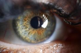 Comment des ultrasons permettent de retrouver la vue ?